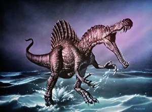 Bilder aus dem Jahr 2003: Spinosaurus-Dinosaur