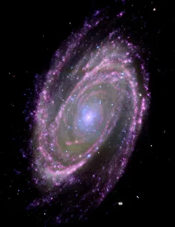 Hubble-Teleskop Drucke: Riesenzahnhalbinsphäre M81, kombinierte Bild