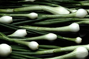 Drucke von Schnellkohl (Allium cepa). Diese Gemüse können roh in Salaten gegessen werden oder gekocht werden. Sie sind reich an Vitaminen und Mineralien Bilder Datiert 2004 Februar: Zwiebeln aus dem Frühjahr