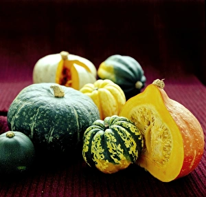 Vegetable Garden Photos Drucke: Squashes