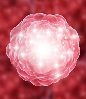 Stem Cell Biology Drucke: Stem cell, conceptual artwork