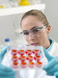 Stem Cell Research Drucke: Stem cell research