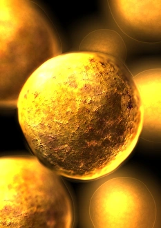 Stem Cell Research Drucke: Stem cells