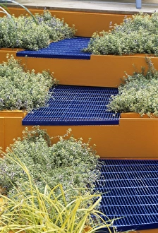 Garden Design Ideas Drucke: Steps in a garden