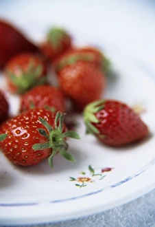 Strawberry Nutrition Drucke: Strawberries