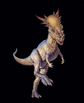 Late Cretaceous Period Dinosaurs Drucke: Stygimoloch dinosaur