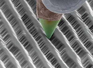 SEM Drucke: Stylos auf LP-Schallplatte