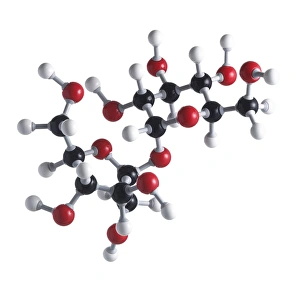 Drucke von Zuckermolekül von Sucrose. Atom sind als Kugeln dargestellt und werden farblich gekennzeichnet: Kohlenstoff (schwarz), Wasserstoff (weiß) und Sauerstoff (rot) Bilder Datiert 2011 August: Zuckermolekül von Saccharose