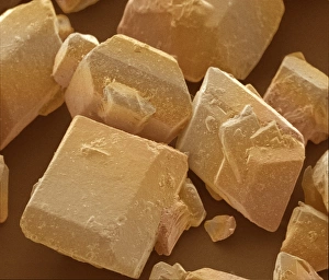 Zucker Kristalle im SEM