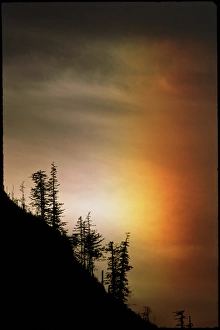 Bilder aus dem Jahr 1993: Sundog