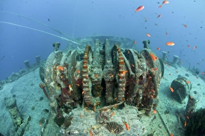 Bilder Datiert 14. März 2011: Untergetautes Schiffwreck