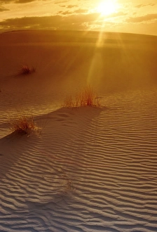 Horizon Landscape Photography Drucke: Sunset in the desert