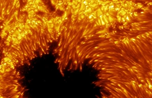 Cosmology Images Drucke: Sunspot