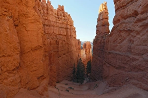 Utah National Park Scenery Drucke: Switchbacks, Utah, USA