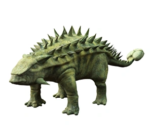 Armoured Dinosaurs Drucke: Talarurus dinosaur