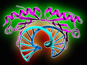 Deoxyribonucleic Acid Structure Drucke: TATA box-binding protein complex C013 / 8881