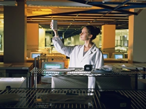 Deoxyribonucleic Acid (DNA) Drucke: Technician with DNA sequencers at Celera Genomics