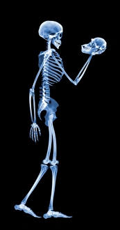 Human Evolution Drucke: Technological dominance, conceptual image