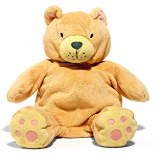 Vintage Teddy Bears Drucke: Teddy bear