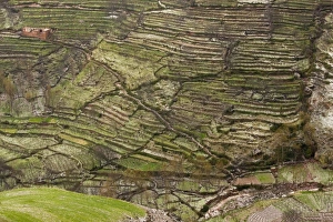 High Atlas Mountain Landscape Drucke: Terraced hillside in Morocco