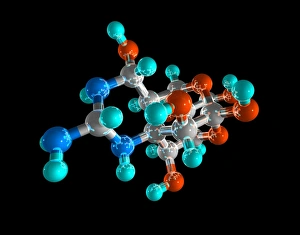 Bilder Datiert 30. Oktober 2006: Toxikummolekül Tetrodottoxin