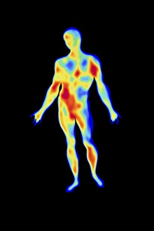 Bilder Datiert 12. Oktober 2001: Thermogram