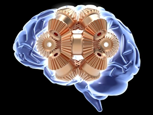 Computer Generated Brain Image Drucke: Thought process, artwork F005 / 0192