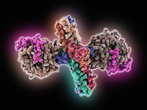 Thrombin komplexiert mit Fibringon C015/7149