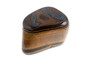 Mineral Specimen Photography Drucke: Tigers Eye