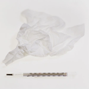 Medical Thermometer Drucke: Tissue and thermometer