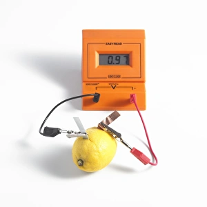 Drucke von Zitronenbatterie. Kupfer (Orangefarben) und Zink-Elektroden sind in eine Zitrone eingebaut worden und mit Kabeln verbunden, um Strom zu erzeugen. Der Voltmeter (oben) zeigt die Spannung auf Bilder Datiert 2011 Oktober: Tomatobatterie