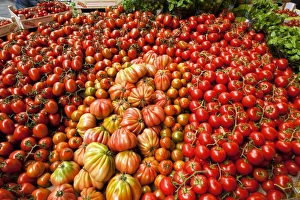 Organic Tomatoes Drucke: Tomato stall