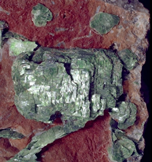 Natural History Museum Specimens Drucke: Torbernite C016 / 5656