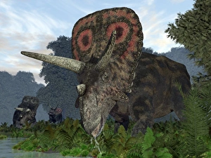Late Cretaceous Period Drucke: Torosaurus dinosaur, artwork