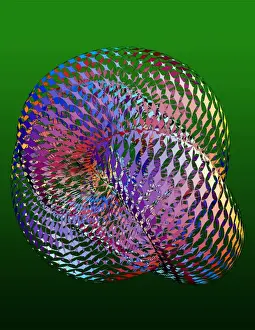 Drucke von Torus: Computermodell der dreidimensionalen Projektion (oder Schatten) eines 4-dimensionalen Torus, mathematischer Form Bilder Datiert 2004 Januar: Torus