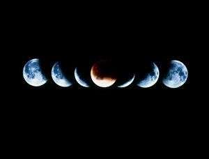 Drucke von Ein Mondfinsternis ist ein Phänomen der Erde und des Mondes: Wenn die Erde den Schatten auf den Mond wirft wird er teilweise oder vollständig von diesem Schatten bedeckt Bilder Datiert 2003 Juli: Gesammtfinsternis der Mond im November 1993