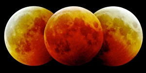 Total Lunar Eclipse Drucke: Total lunar eclipse, montage image