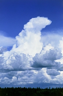 Cumulonimbus Clouds Drucke: Towering cumulus clouds