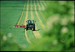 Bauernmaschine schneidet Gras