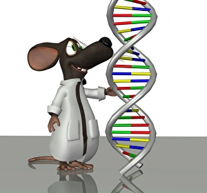 Deoxyribonucleic Acid Drucke: Transgenic mouse, conceptual artwork