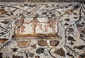 Drucke von Ein Detail aus einem römischen Mosaik zeigt den Weinanbau. Es zeigten drei Männer Trauben walzen und befindet sich im Amphitheaterhaus Merida, Spanien Bilder Datiert 2011 Januar: Träumen Trauben