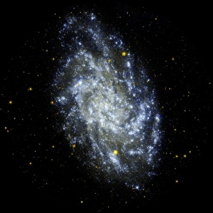 Milchstraße Drucke: Triangelhaeusgalaxie (M 33)