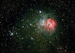 Emission Nebula Drucke: Trifid Nebula