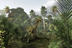 Late Cretaceous Period Drucke: Troodon dinosaur