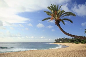 Tropical Beach Sunset Drucke: Tropical beach