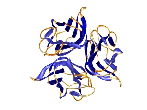 Tumor-nachweislicher Faktor-Alpha