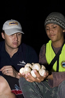 Endangered Sea Turtles Drucke: Turtle conservation