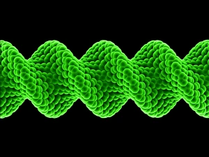 Drucke von Verzerrter Nanoröhren. Molekularmodell einer Struktur auf Basis von Vollständigen, einem strukturellen Form (Allotrop) des Kohlenstoffs Bilder Datiert 2008 Juli: Verzerrter Nanoröhren, molekularer Modell