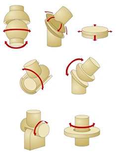 Drucke von Arten der Gelenke im Computerbild. Stilisierte Diagramme zur Darstellung verschiedener Arten von Gelenken in menschlichem Körper und Bewegungen sie ermöglichen Bilder Datiert 2010 Juli: Arten der Gelenke, Kunstwerk