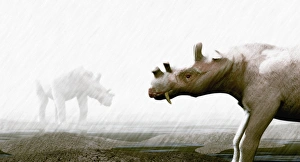 Eocene Epoch Fossils Drucke: Uintatherium